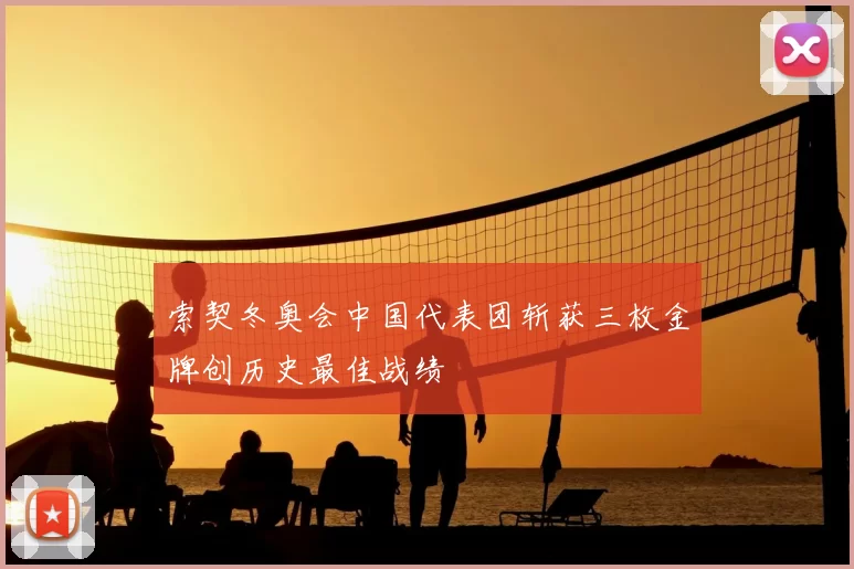 索契冬奥会中国代表团斩获三枚金牌创历史最佳战绩