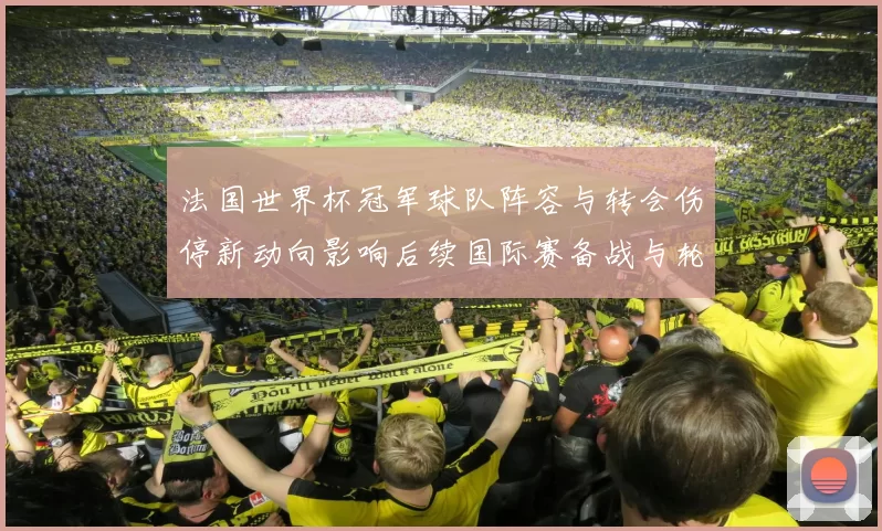 法国世界杯冠军球队阵容与转会伤停新动向影响后续国际赛备战与轮换