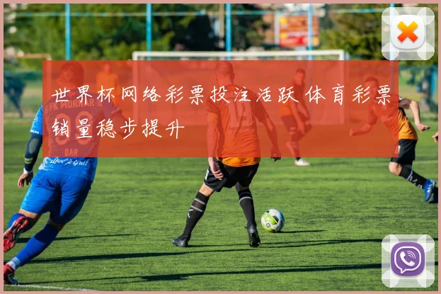 世界杯网络彩票投注活跃 体育彩票销量稳步提升