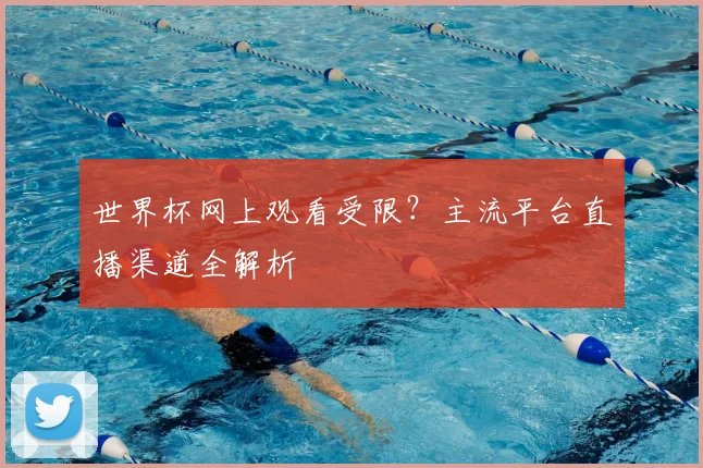 世界杯网上观看受限?主流平台直播渠道全解析