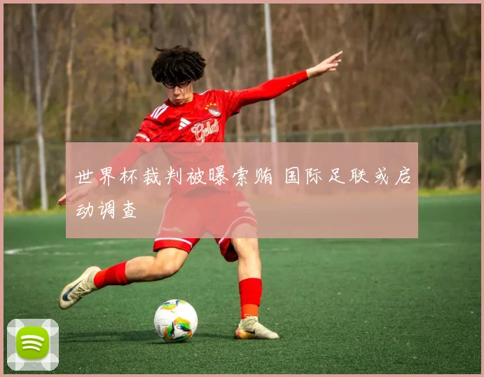 世界杯裁判被曝索贿 国际足联或启动调查